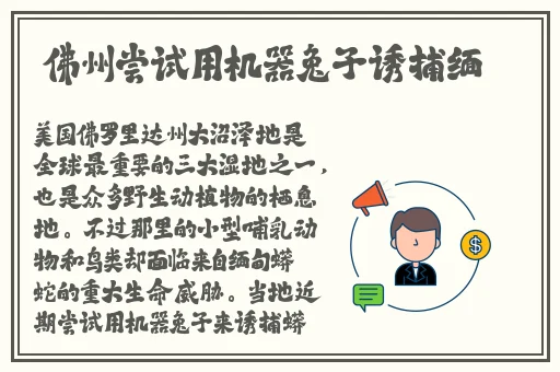 病勤楼栋第一